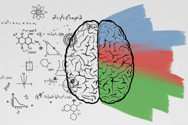 graphic of brain and scientific equations.